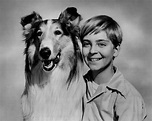 Lassie (1954 TV series) - Alchetron, the free social encyclopedia