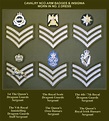 √ Canadian Army Reserves Ranks - Na Gear