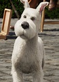 Snowy | Tintin Wiki | FANDOM powered by Wikia