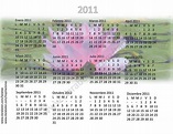 Calendario almanaque anual 2011. Flor de loto - Tarjetas, calendarios y ...