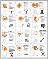12 signs of Zodiac in details and their corresponding traits, figures ...