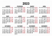 Calendario 2023 Editabile Calendario 2023 In Formato Vettoriale - Vrogue