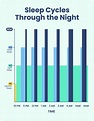 Stages of Sleep: What Happens in a Sleep Cycle | Sleep Foundation