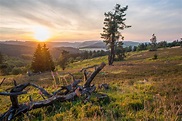 Die schönsten Themenwege im Sauerland