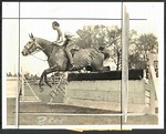 BS PHOTO aft-740 Liz Whitney Tippett, Socialite, Horsewoman 1933