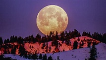 Cold Moon on December 29th is Last Full Moon of the Year