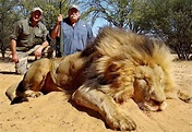 Trophy Hunting – A very British contribution - Animal Charity - Animal ...