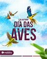 🐦 Dia 05 de Outubro é o Dia da Ave aqui no Brasil! 🐦 🎊 E mais do que ...