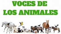 VOCES DE LOS ANIMALES | aprende las voces de los animales ...