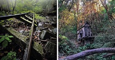 16 bosques tenebrosos que parecen salidos de una película de terror ...
