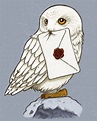 Harry Potter Owl Drawing at PaintingValley.com | Explore collection of ...
