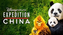Expedition China streamen | Ganzer Film | Disney+