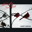 Calamity Drenching by McCarthy Trenching (Album, Contemporary Folk ...