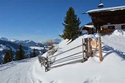 RODELN Alpbach: Die Bischoferalm Rodelbahn in Tirol