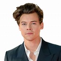 Harry Edward Styles PNG File Download Free | PNG All