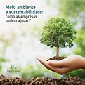 Meio ambiente e sustentabilidade: como as empresas podem ajudar?AmbScience