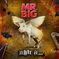 What If... : MR.BIG | HMV&BOOKS online - 8024391050545