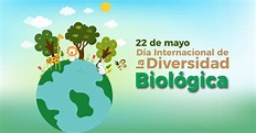 Día Internacional de la Diversidad Biológica | 22 de mayo | Instituto ...
