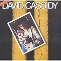 Gettin' It In The Street : David Cassidy | HMV&BOOKS online - CDSOL7799