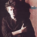 Don Henley / Building the Perfect Beast (1984年) – アルバム・レビュー | Warm ...