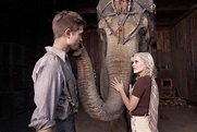 Water for Elephants: A Chat With Sara Gruen