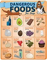 Dangerous Foods for Dogs (infographic) | thatpetplace.com