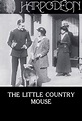 The Little Country Mouse - Rotten Tomatoes