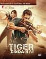 Tiger Zinda Hai: Amazon.in: Salman Khan, Katrina Kaif, Ali Abbas Zafar ...