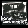 Babyshambles - Shotters Nation - Vinyl LP - Five Rise Records