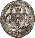 France - Charles VIII (1483-1498) - Blanc à la couronne de - Catawiki