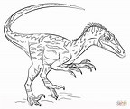 Dibujo de Velociraptor para colorear | Dibujos para colorear imprimir ...