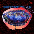 “Centipede hz”, dos Animal Collective | Doodles