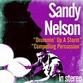 ‎Drummin' up a Storm / Compelling Percussion - Album by Sandy Nelson ...