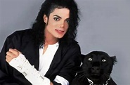 La impactante transformación de Michael Jackson: una vida llena de ...