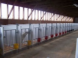 Calf Housing and Calf Pens: Design, Mfg, Installation in 2020 | Cattle ...