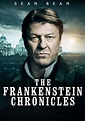 The Frankenstein Chronicles | TVmaze