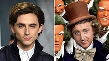 Timothée Chalamet To Play Willy Wonka In New Origin Pic For Warner Bros ...