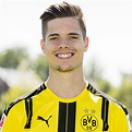 Julian Weigl - Fan Lexikon