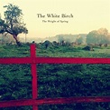 The White Birch: The Weight of Spring | SpellbindingMusic