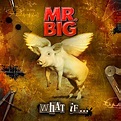 HEAVY PARADISE, THE PARADISE OF MELODIC ROCK!: MR. BIG / WHAT IF... (2011)