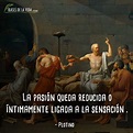 70 Frases de Plotino | Heredero de la filosofía platónica [Con Imágenes]