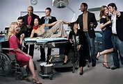 Grey's Anatomy: sinopsis y personajes - TVNotiBlog