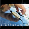 Airstream - David Wilcox - CD album - Achat & prix | fnac