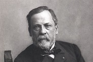 Biographie : Louis Pasteur (1822-1895), inventeur du vaccin contre la rage
