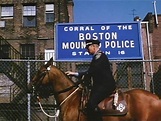 The Tattooed Police Horse (1964) - Turner Classic Movies