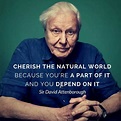 Save Planet Earth, Save Our Earth, David Attenborough Quotes, Computer ...