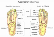Fuß Füße Sprunggelenk Zehen Arztpraxis Lüneburg Dr. med. Thomas Hartmann