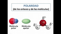 Polaridad de las moléculas y de los enlaces - YouTube