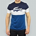 Camiseta Lacoste Live Masculina Original Polo Camiseta Aj - R$ 98,00 em ...