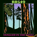 Tangled in the Pines - Br549: Amazon.de: Musik